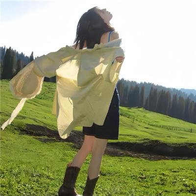 鲤氏侦探事务所日语